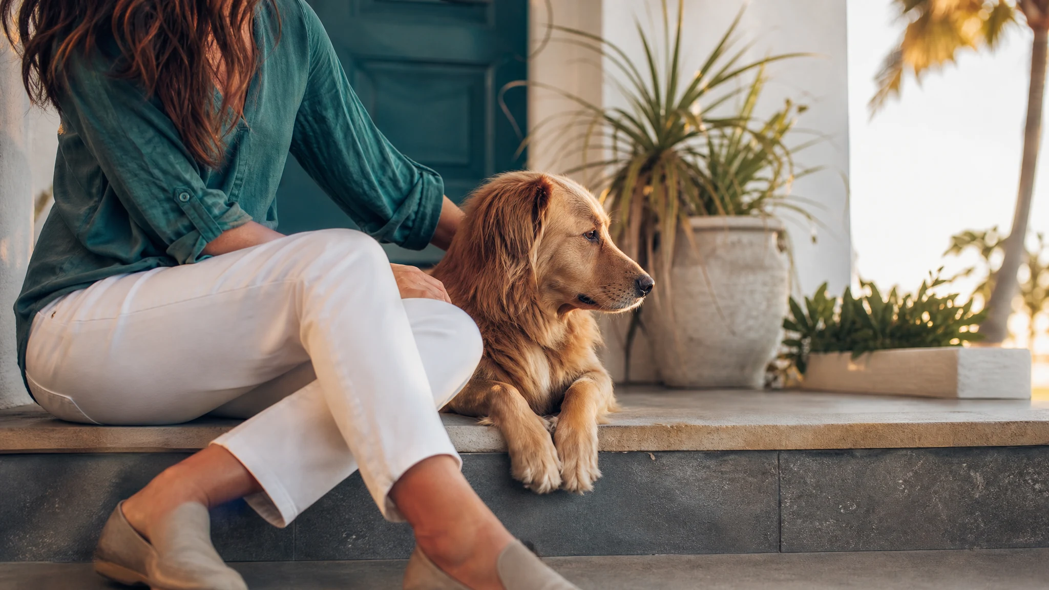 Florida emotional support animal guides: do you qualify for an esa letter in florida?